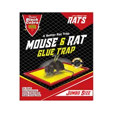 Black Cobra Mouse & Rat Glue Trap Jumbo Size 