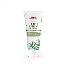 Saeed Ghani Tea Tree & Neem F/W 100ml