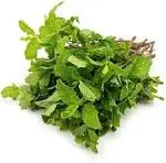 Mint Leaves (Pudina) 100g