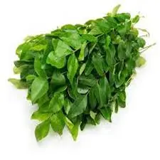 Curry Leaves (Curry Patta) 50gm