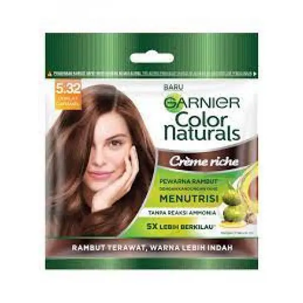 Garnier Color Naturals 5.32 Black Hair Color