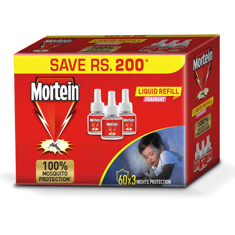 Mortein Liquid Refill Fragant Night Protection 60X3