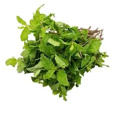 Mint Leaves (Pudina) 100g